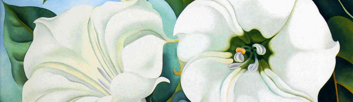 White Flowers