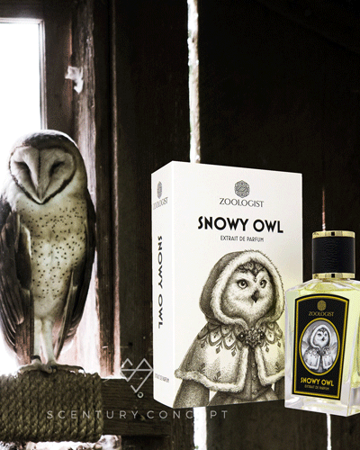 Nước-hoa-Zoologist-Snowy-Owl